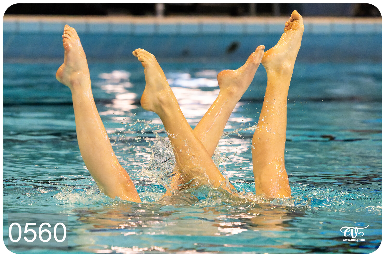 CHAMPIONNAT DE FRANCE DE NATATiON ARTISTIQUE N1 & ELITE 2026